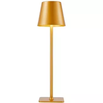 Настольная лампа светодиодная с аккумулятором и зарядкой от USB F-Promo Pyari 4616-1T