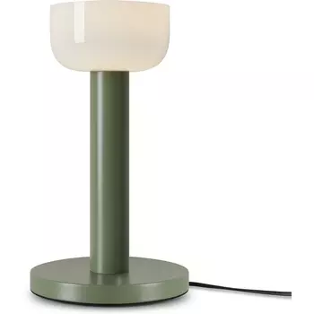 Настольная лампа светодиодная Freya Barries FR6185TL-L5GN