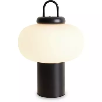 Настольная лампа светодиодная Freya Take FR6175TL-L10B