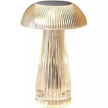 Настольная лампа светодиодная с зарядкой от USB L'Arte Luce Pevetro L66031