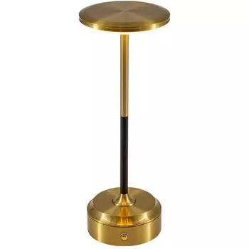 Настольная лампа L'Arte Luce Xenio L66531.70 bronze