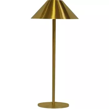 Настольная лампа светодиодная с аккумулятором Kink Light Паола 07210-T,20