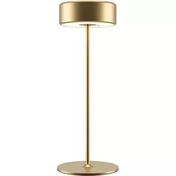 Настольная лампа светодиодная с аккумулятором Maytoni AI Collaboration MOD229TL-L3G3K2