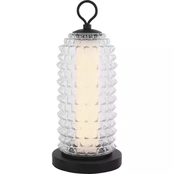 Настольная лампа ST Luce Saguaro SL6144.404.01 черный/прозрачный LED 1*12W 4000K