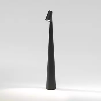 Настольная лампа светодиодная с аккумулятором Elektrostandard Elite TL70250 черный