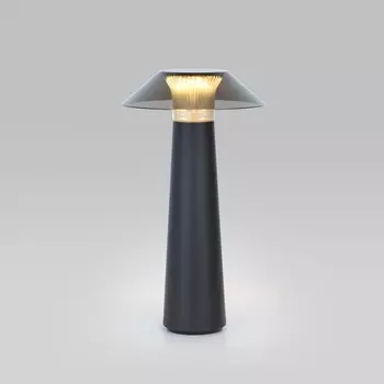 Настольный светильник IP44 светодиодный с аккумулятором Elektrostandard Future TL70200