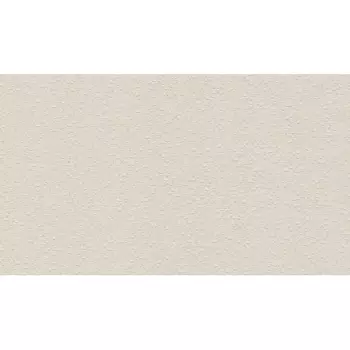 Обои International 220521 BN Grand Safari BN International