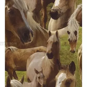 Обои бумажные Kids&teens Ii Rasch Kids& 293104