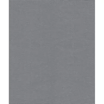 Обои Rasch Berlin 529869