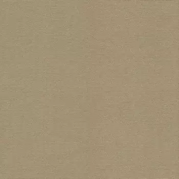 Обои Rasch Berlin 529876