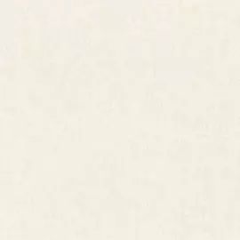 Обои Rasch Factory Style 968774 (Rasch)