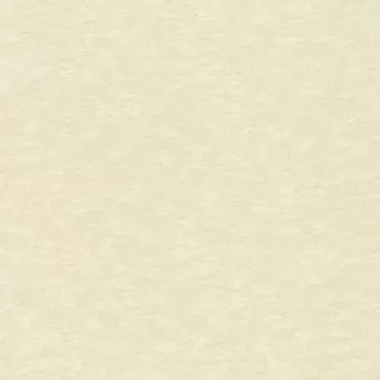 Обои Rasch Filigrano 964813