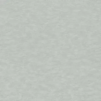 Обои Rasch Filigrano 964820