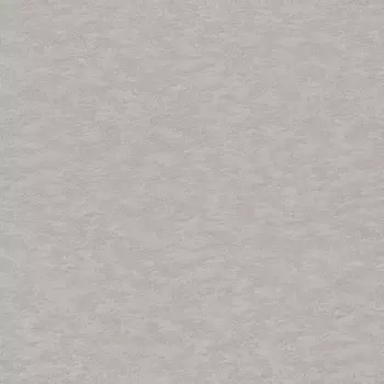 Обои Rasch Filigrano 964837