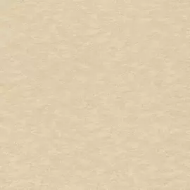 Обои Rasch Filigrano 964851 (Rasch)