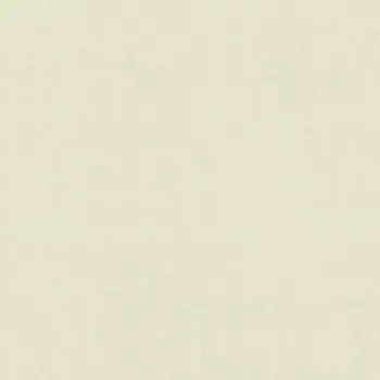 Обои Rasch Magnolia 965018