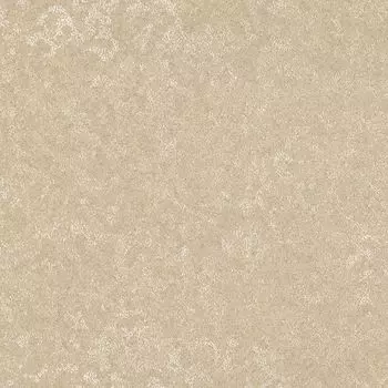 Обои виниловые 2 10,05 x 0,7 м Zambaiti Trussardi 5516