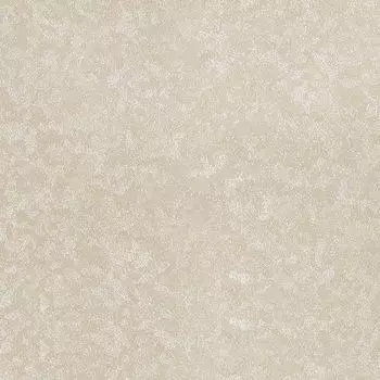 Обои виниловые 2 10,05 x 0,7 м Zambaiti Trussardi 5504