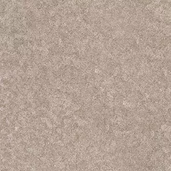 Обои виниловые 2 10,05 x 0,7 м Zambaiti Trussardi 5512