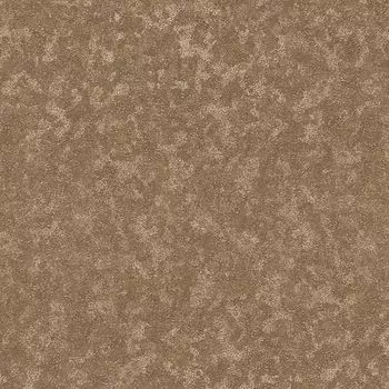 Обои виниловые 2 10,05 x 0,7 м Zambaiti Trussardi 5502