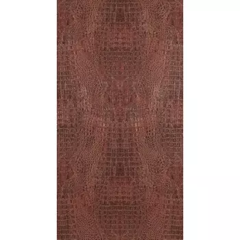 Обои виниловые BN International Curious 17957 10,05 x 0,53 м (BN International)