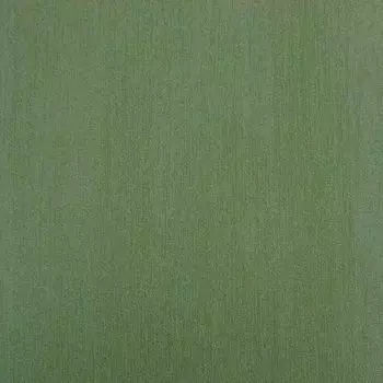 Обои виниловые International 217978 10,05 x 0,53 м BN Essentials BN International