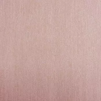 Обои виниловые International 217988 10,05 x 0,53 м BN Essentials BN International