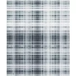 Обои виниловые BN International Neo Royal 218605 10,05 x 0,53 м (BN International)