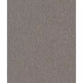 Обои виниловые BN International Panthera 220117 10,05 x 0,53 м (BN International)