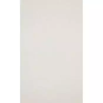 Обои виниловые International &amp; 218900 10,05 x 0,53 м BN Rise &amp;amp BN International