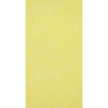 Обои виниловые International Van Gogh 17131 10,05 x 0,53 м BN BN International