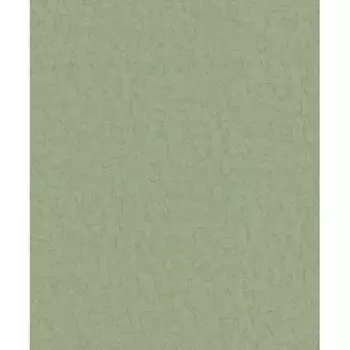 Обои виниловые International Van Gogh 220073 10,05 x 0,53 м BN 2 BN International