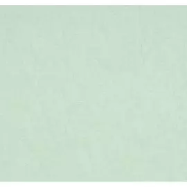 Обои виниловые BN Wallcoverings Van Gogh 17111 10,05 x 0,53 м (BN International)