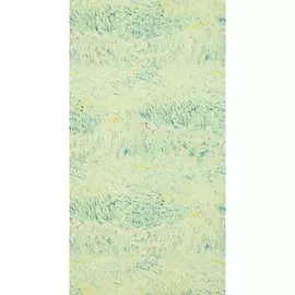 Обои виниловые BN Wallcoverings Van Gogh 17180 10,05 x 0,53 м (BN International)