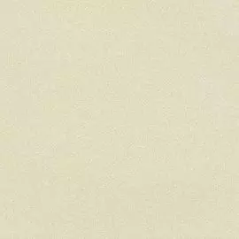 Обои виниловые Grandeco Nuances NU 1202 10 x 0,53 м (Grandeco)