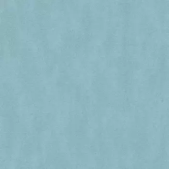 Обои виниловые Ugepa Escapade F79311 10,05 x 0,53 м (Ugepa)