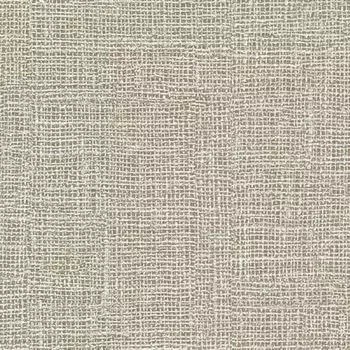 Обои виниловые Zambaiti Trussardi IV 44916 10,05 x 0,7 м (Zambaiti)