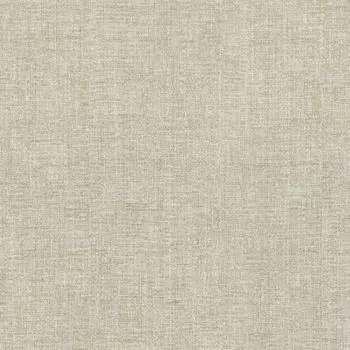 Обои виниловые Zambaiti Trussardi IV 44955 10,05 x 0,7 м (Zambaiti)