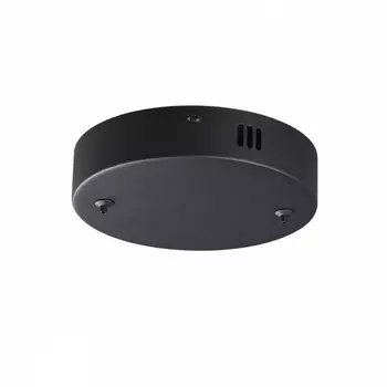 Основание для подвеса Lumion Echo 6530/2L черный 220V