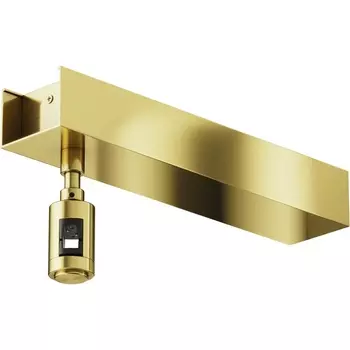 Основание потолочное Short для блока питания с вводом питания Flarity латунь Maytoni Accessories for tracks Flarity TRA156С-BB1-BS