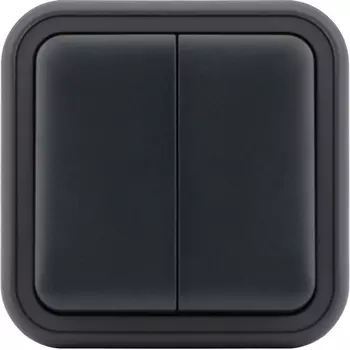 Переключатель 2-клавишный накладной, цвет антрацит Donel W55 DIP20828