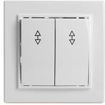 Переключатель двухклавишный (белый) Stekker Эрна 39919