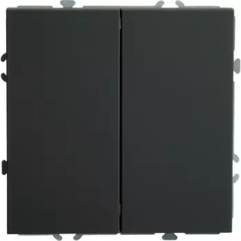 Переключатель двухклавишный (черный) Stekker Эмили 49843