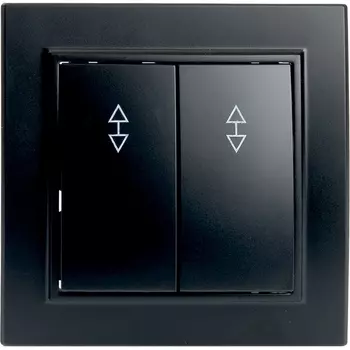 Переключатель двухклавишный (черный) Stekker Эрна 39921