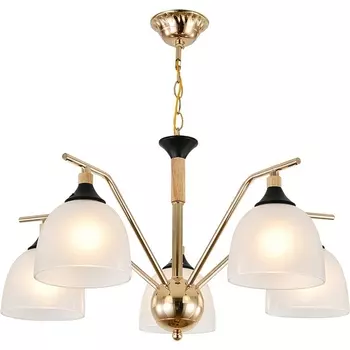 Подвесная люстра Escada Actinidia 2123/5P 5x40Вт E27, металл/стекло, черный/дерево, белый матовый плафон