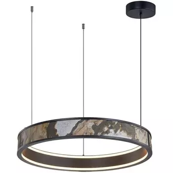 Подвесная люстра светодиодная Favourite Lago 4598-1P