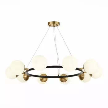 Подвесная люстра Evoluce Forli SLE220403-10