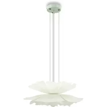 Подвесная люстра Lightera Chad LE116L-60W