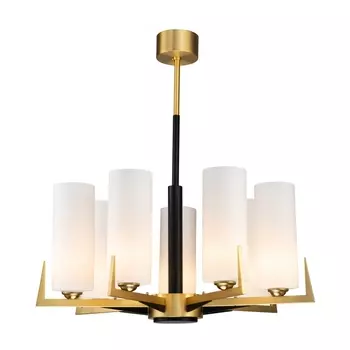 Подвесная люстра Favourite MAXIMO 2623-7P