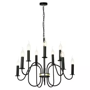 Подвесная люстра IP21 Lussole LGO Roosevelt LSP-8198 в виде свечи